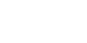 Worldwide Insurance Services logo